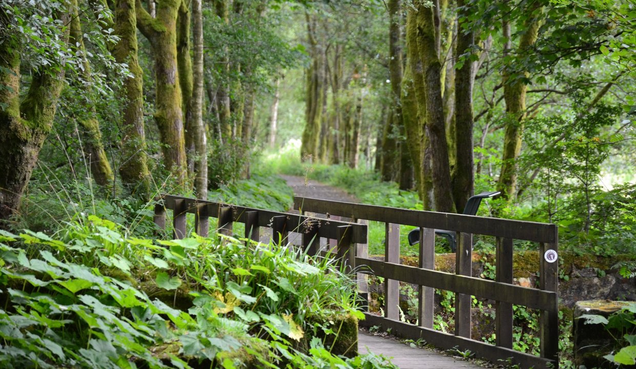 Bridge on the Strathkelvin Railway Path