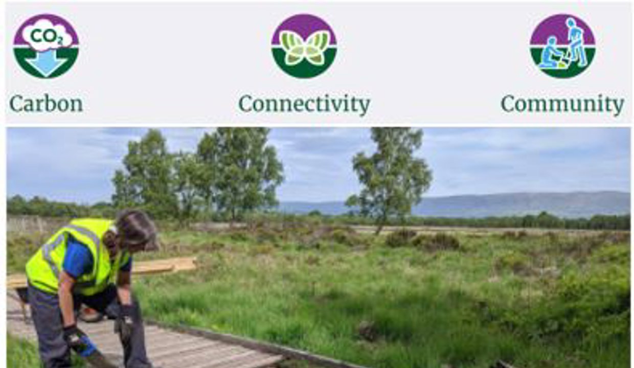 Carbon, connectivity, community -  Man working on the boardwalk at Lenzie Moss