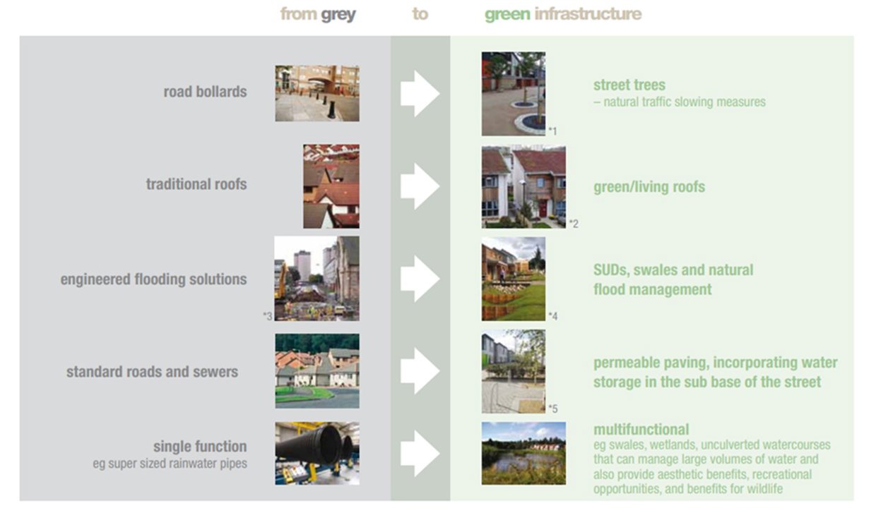 road bollards traditional roofs from grey green infrastructure street trees - natural traffic slowing measures green/living roofs engineered flooding solutions SUDS, swales and natural flood management standard roads and sewers single function eg super sized rainwater pipes permeable paving, incorporating water storage in the sub base of the street multifunctional 