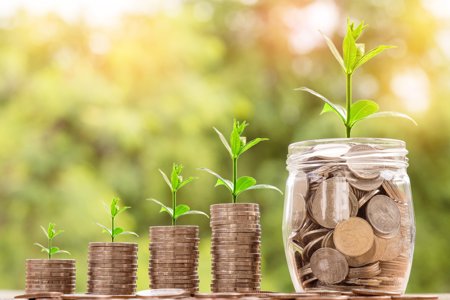Coins with plants growing on top