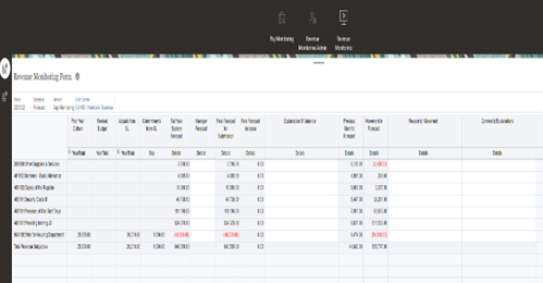 A screenshot of a computer revenue monitoring form shown