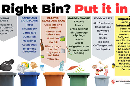 Right bin, put it in graphic listing every item that can be put in each of the household waste bins