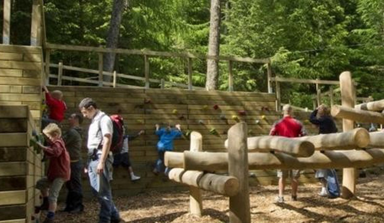 Families playing in a woodland park