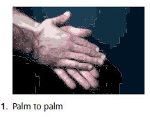 Palm to palm