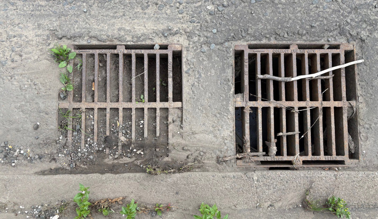 example of gully full of silt